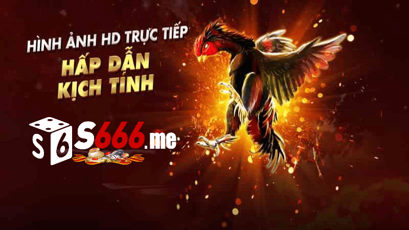 Chọn trận đấu và đặt cược