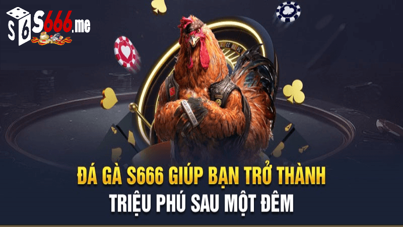 đá gà S666 me giúp người chơi có thể dễ dàng đặt cược
