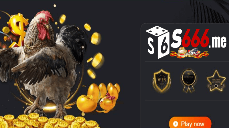 Đá gà S666 me