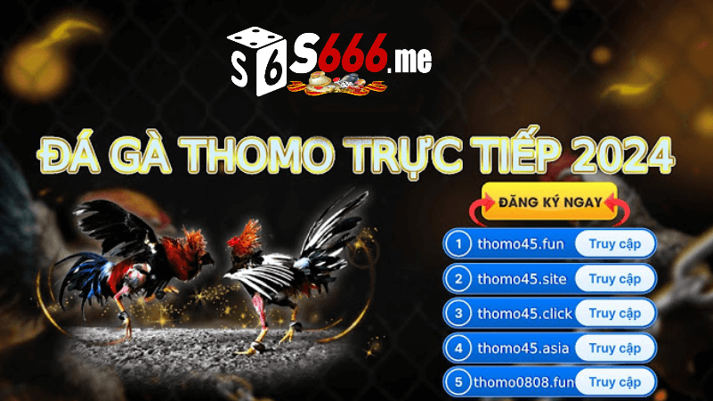 Cách thực hiện đá gà trực tiếp s666 me